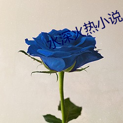 水(水)深火(火)热(熱)小(小)说