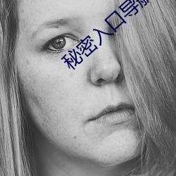 秘密入口导(導)航