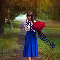 无证之罪小(xiǎo)说