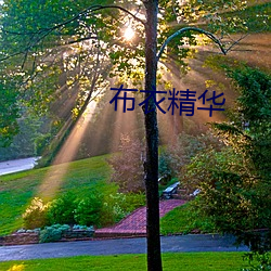 布衣精华
