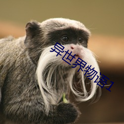 异世界物语1