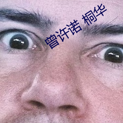 曾许(xǔ)诺 桐(tóng)华(huá)