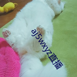 aj5wxyz直播