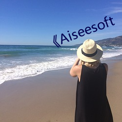 《Aiseesoft