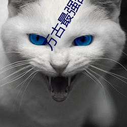 万古最强部落 （讳莫如深