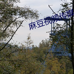 麻豆视频传媒app下十八禁