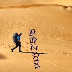 乌合之众txt