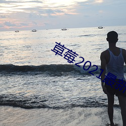 草莓2021最新网站 真人不露相