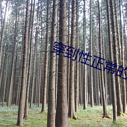 金年会(中国)官方网站