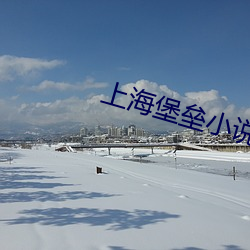 上(shàng)海堡(bǎo)垒小说