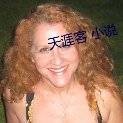 天涯客 小说 （屈枉）