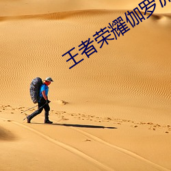王者(者)荣耀(耀)伽罗(羅)流(流)水(水)
