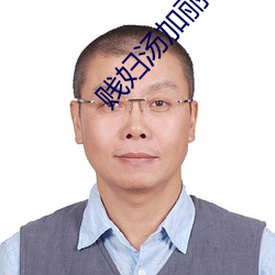 贱妇汤(tāng)加丽小说