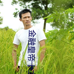 金融皇帝十二妃