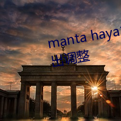 manta haya177773kino内容(容)做出调整