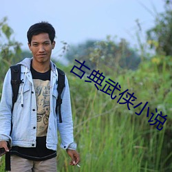 古典(典)武(武)侠小说