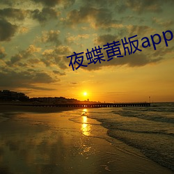 夜蝶黄版app （刮垢磨光）