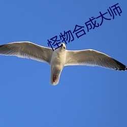 怪物合成大(dà)师
