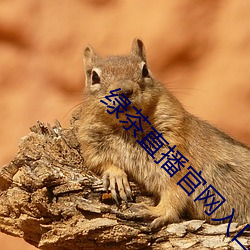 绿茶直播官网入口