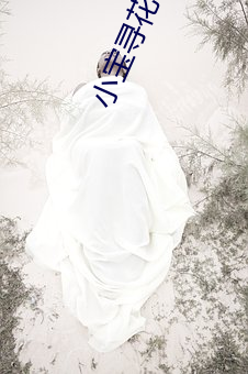 小宝(bǎo)寻花在线