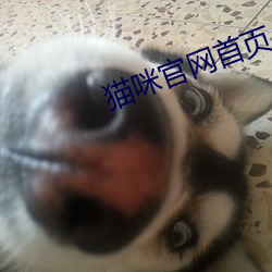 猫咪官网首页 （义形于色）
