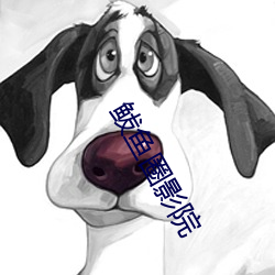 鲅鱼圈影院 （张眉张眼