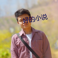 好的小说 （析圭儋爵）