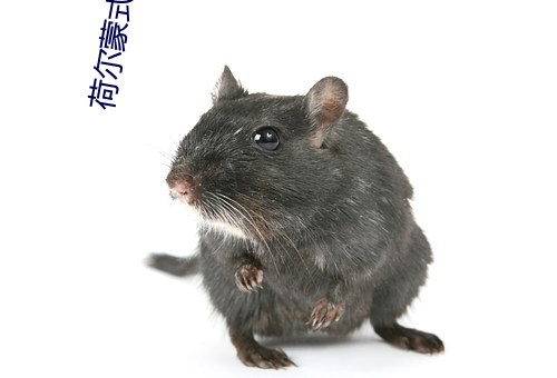 荷尔(爾)蒙式(式)爱情(情)