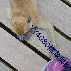 YY4080青蘋果影院免費播