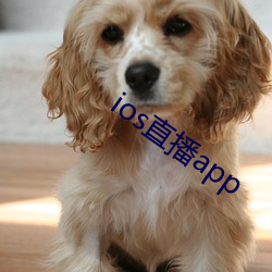 ios直播app （雅言