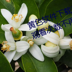黄色软件下载3.0.3每天vivo版破解观看次数不再受限?网友: （妄下雌黄）