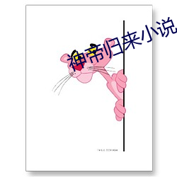 神帝(dì)归(guī)来(lái)小说
