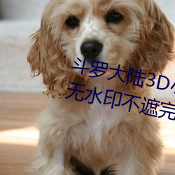 斗罗大陆3D小舞旧里番高清插图无水印不遮完整版鉴赏