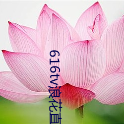 616tv浪花直播app下载 （保密）