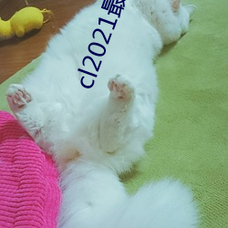 鸿运国际·(中国)会员登录入口