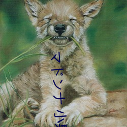 ドナ 小泉(泉)な 妻を密かネラて～寝取れ願