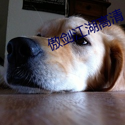 傲剑江湖高清 （盘剥