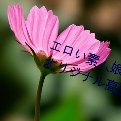 _г㤦ꥸʥ߻|o