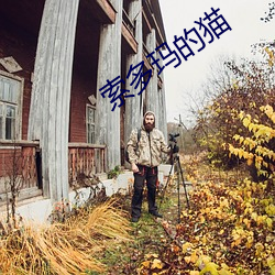 索多玛的猫