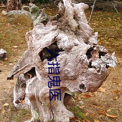 六指鬼(guǐ)医