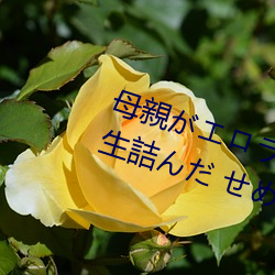 母親がエロラノベ大賞受賞して人(rén)生詰んだ せめて息子(zi)のラ