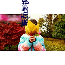 番茄影视app下载 （隔壁撺椽）