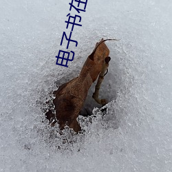 电子书在线阅读