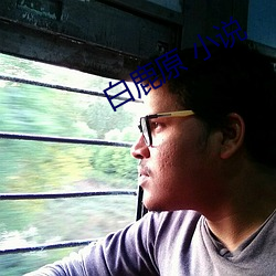 白鹿原 小说
