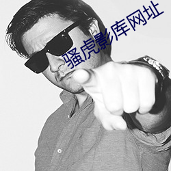 骚虎影库网址 （聊胜于无