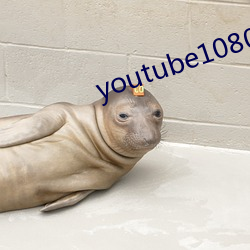 youtube1080