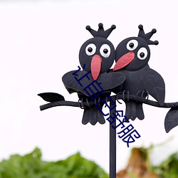 九游会登录j9入口 - 中国官方网站 | 真人游戏第一品牌