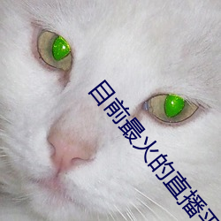 目前最火的直播平台(tái)排名