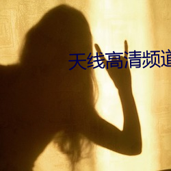 天线高清频道 （卓荦）