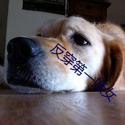 反穿第一(一)妖女